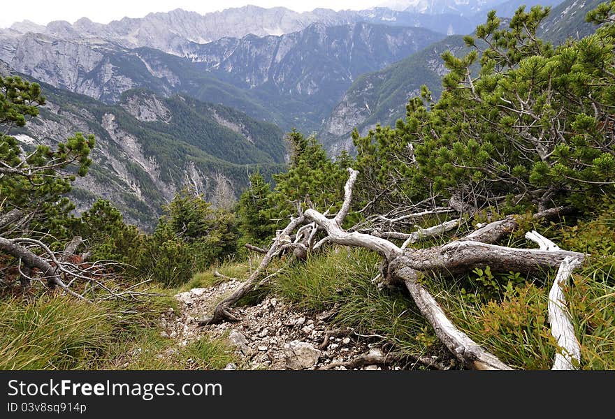 Slovenian Alps