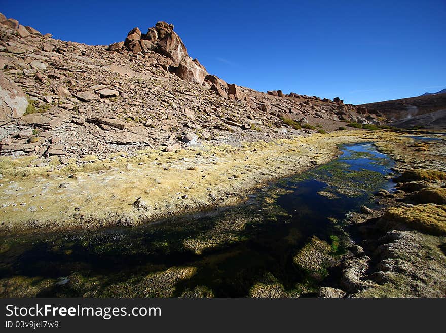 Oasis In The Atacama Desert