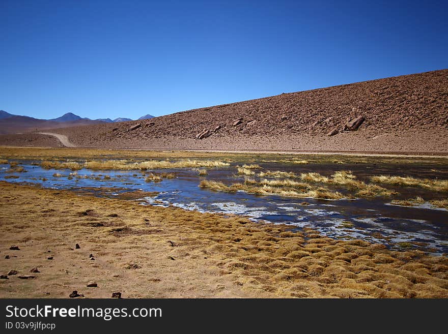 River flow in the Atacama desert