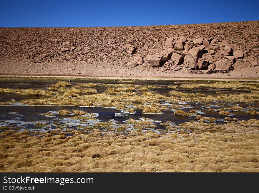 River flow across the Atacama desert in Chile. River flow across the Atacama desert in Chile