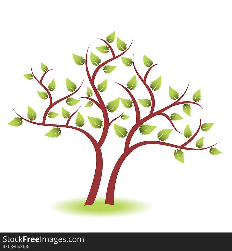 Tree with green leaves on white background