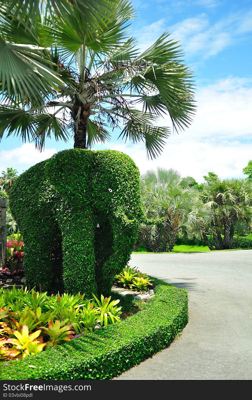 Elephant tree in the park