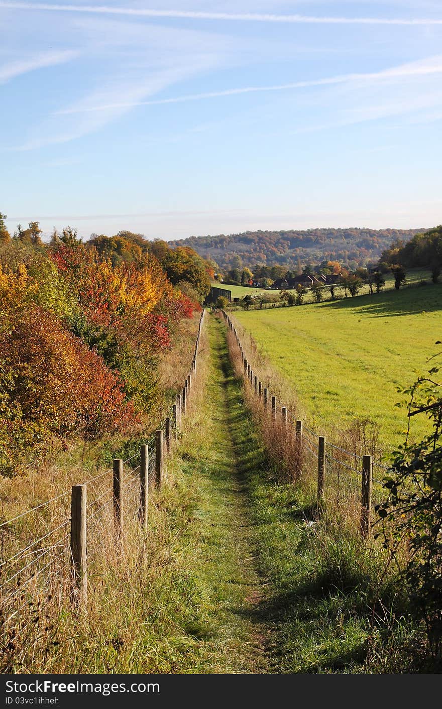 Autumn Landscape with track between Trees