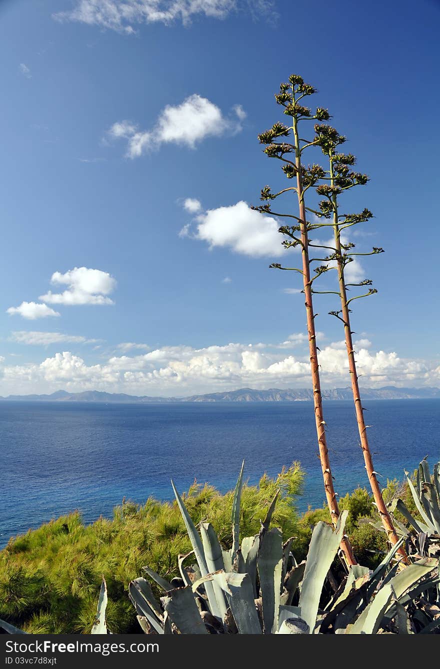 coastal view