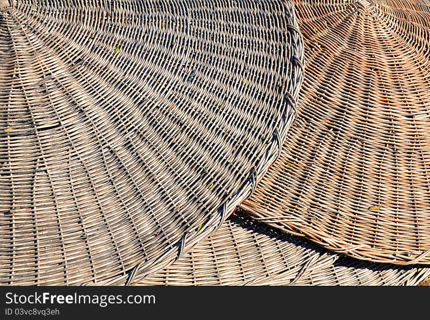 Beach Parasols