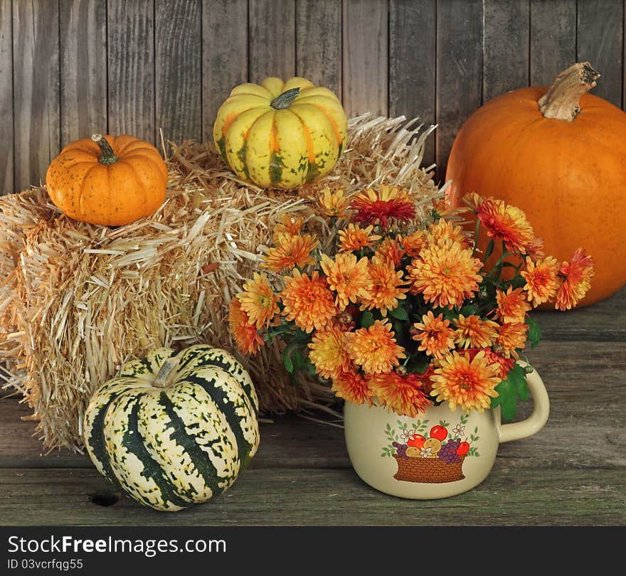 Mums And Gourds