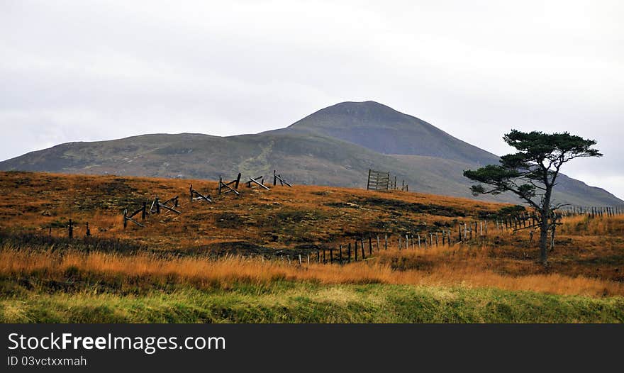 Veiw Of The Moor At Strath Halladale.