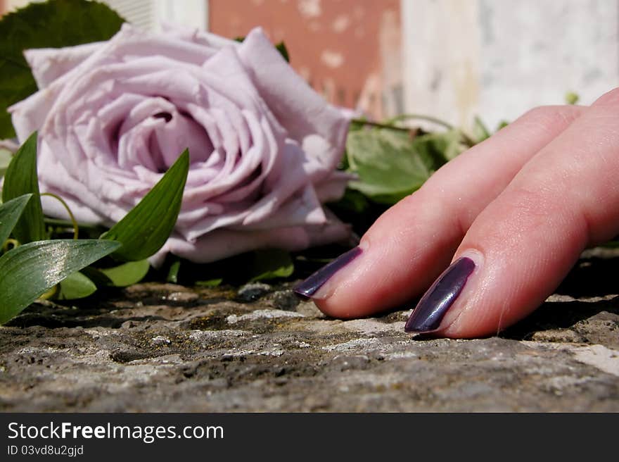 Wedding details, flower and fingers. Wedding details, flower and fingers