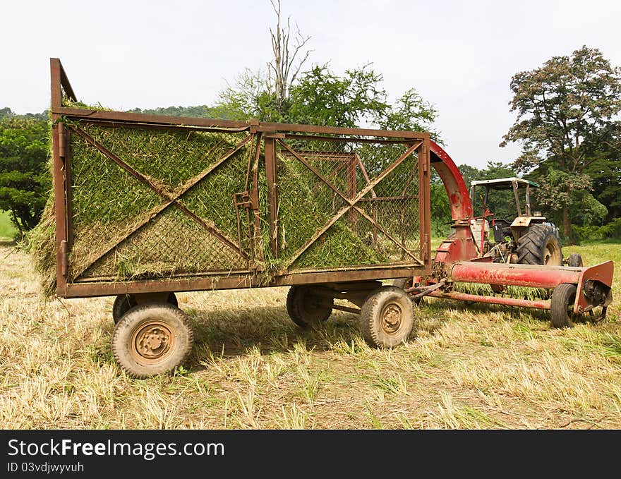 Hay wagon with fresh cut hay or straw. Hay wagon with fresh cut hay or straw