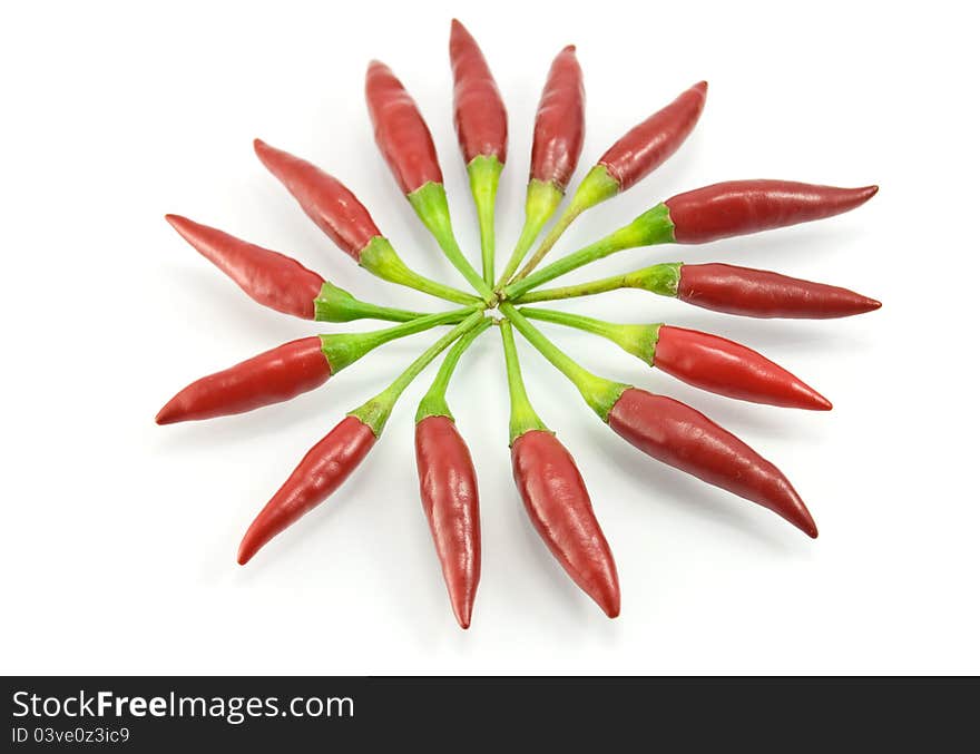 Red pepper on a white background