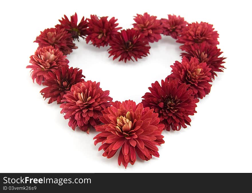 Red flowers in a shape of a heart isolated on white