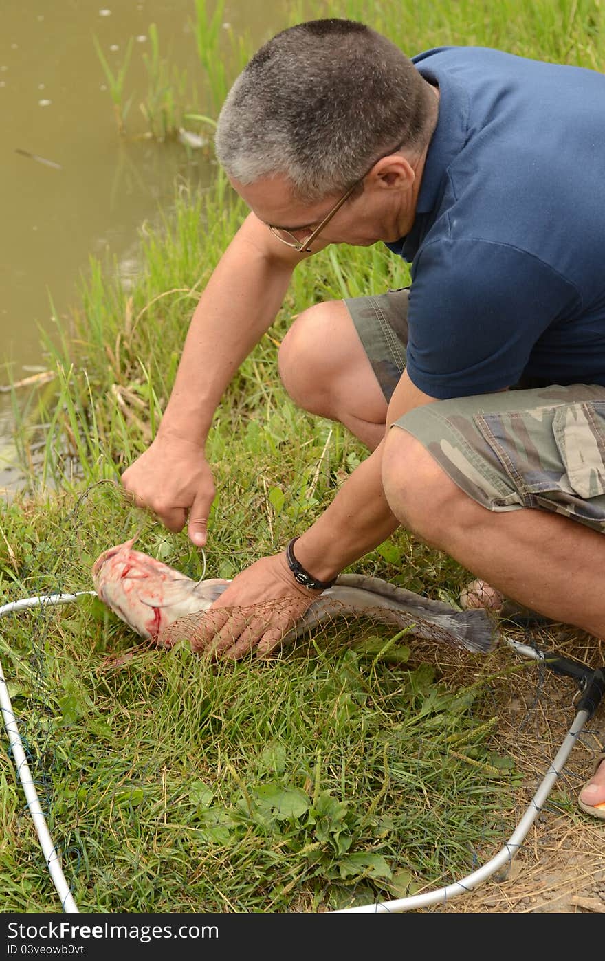 The fisherman takes out a bait from fish. The fisherman takes out a bait from fish