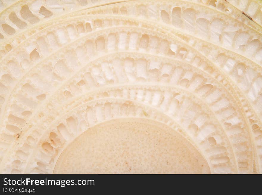 Patterns cut across the trunk of a banana.