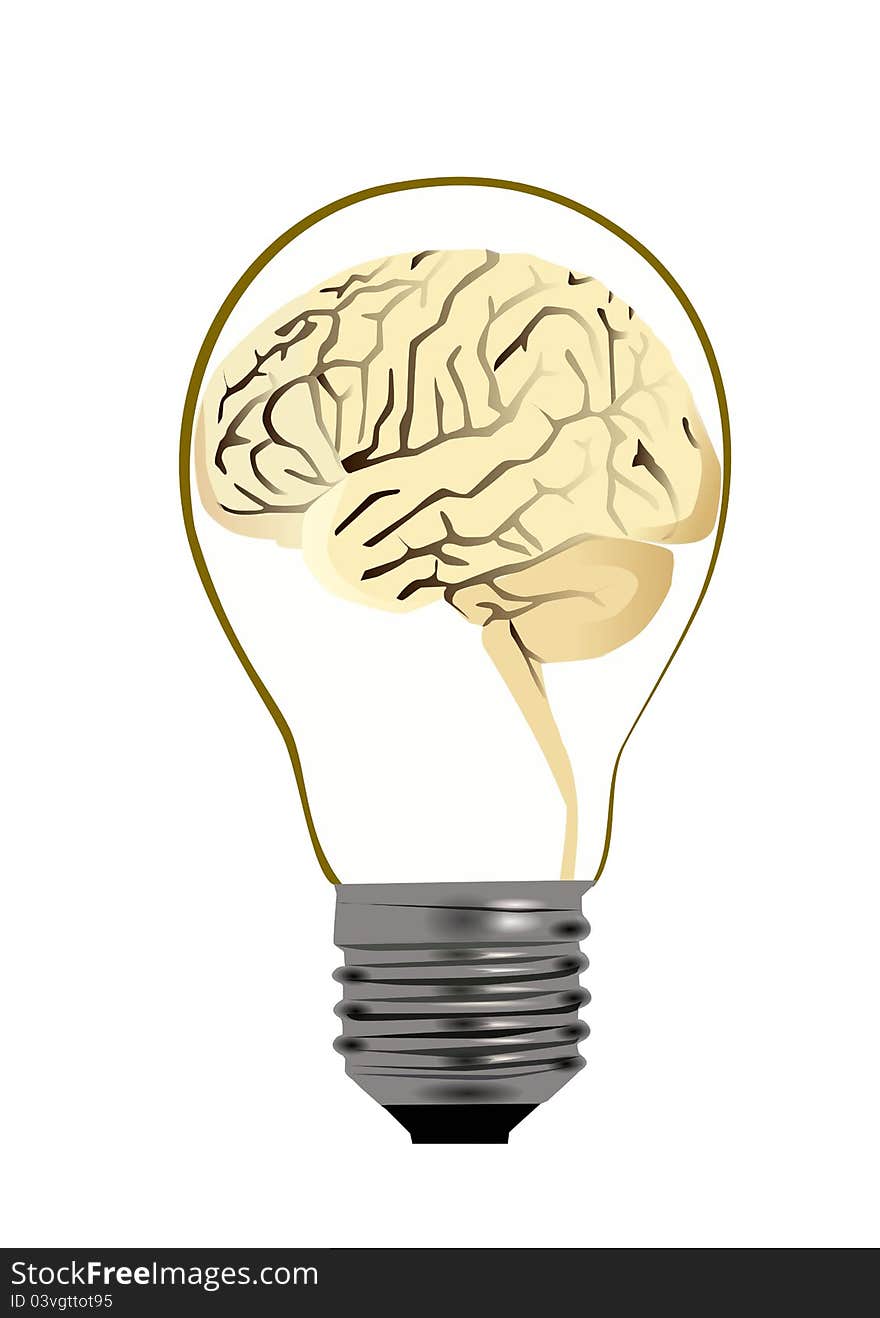 Bulb brain