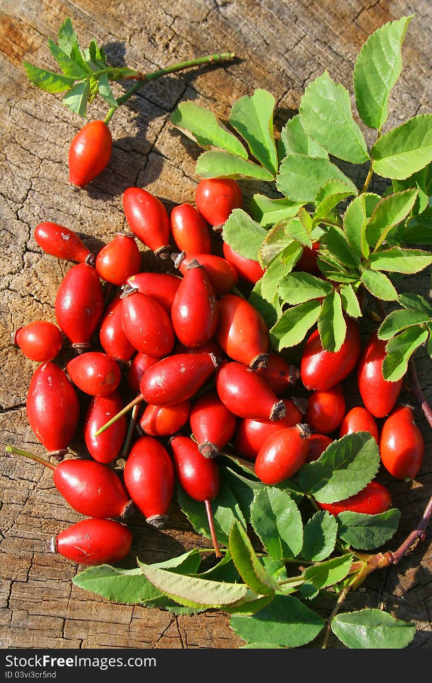 Some red berry fruits with green leaves. Some red berry fruits with green leaves