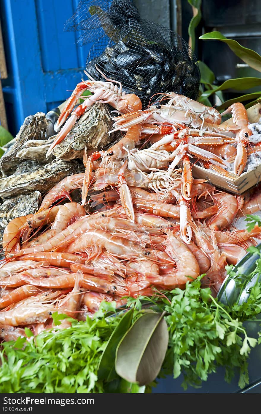 Fresh seafood on fish market in Barcelona, Spain. Fresh seafood on fish market in Barcelona, Spain.