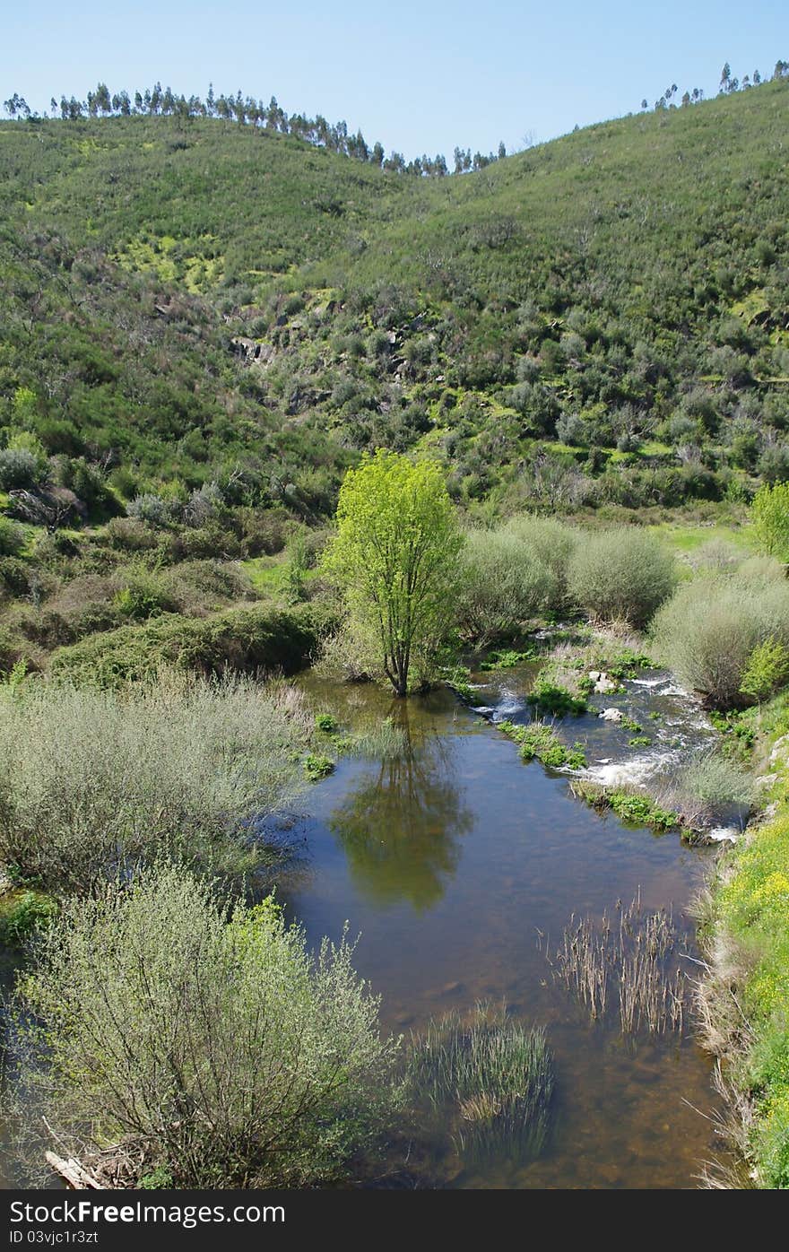 The Nisa river in Portugal. The Nisa river in Portugal