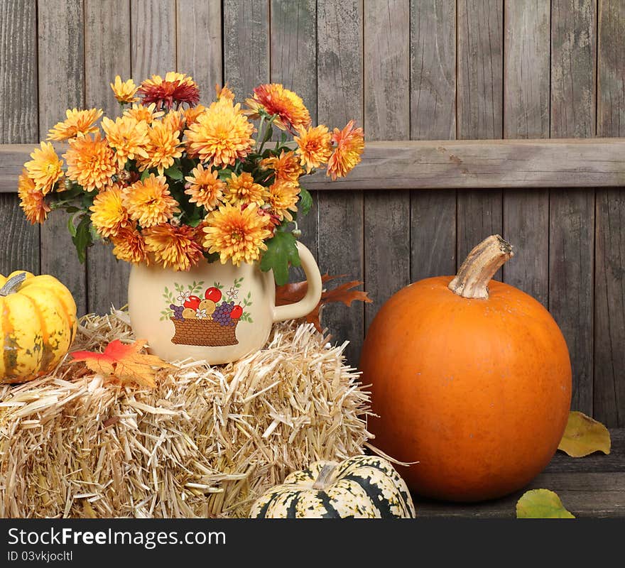 Chrysanthemums and Pumpkin