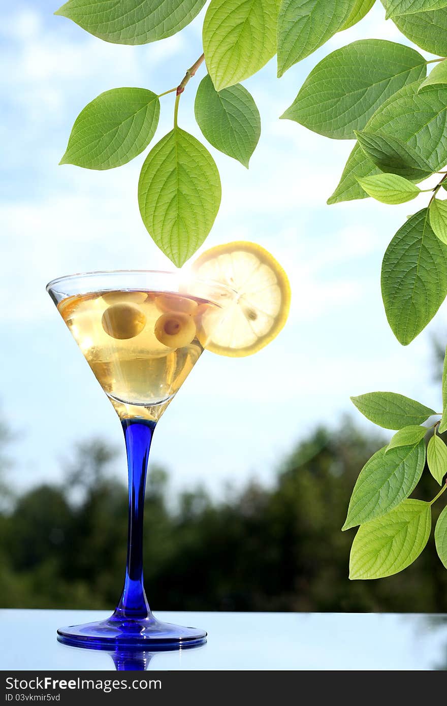 Green leaves brahch against summer background with martini cocktail on glass table. Green leaves brahch against summer background with martini cocktail on glass table