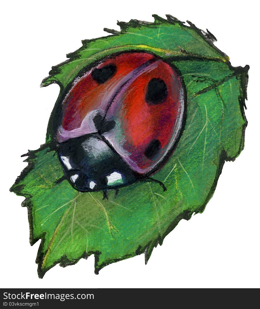 Tools: watercolors and pencil A ladybird on a leaf. Tools: watercolors and pencil A ladybird on a leaf