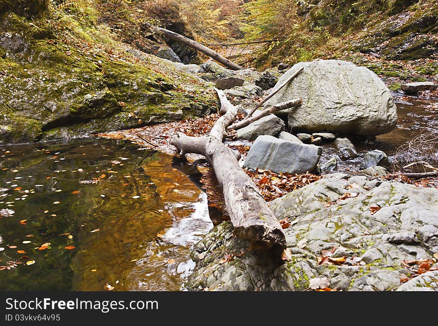 Landscape with fallen trees and a creek in the autumn. Landscape with fallen trees and a creek in the autumn