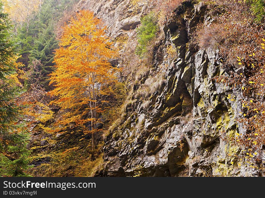 Autumn Waterfall in mountain