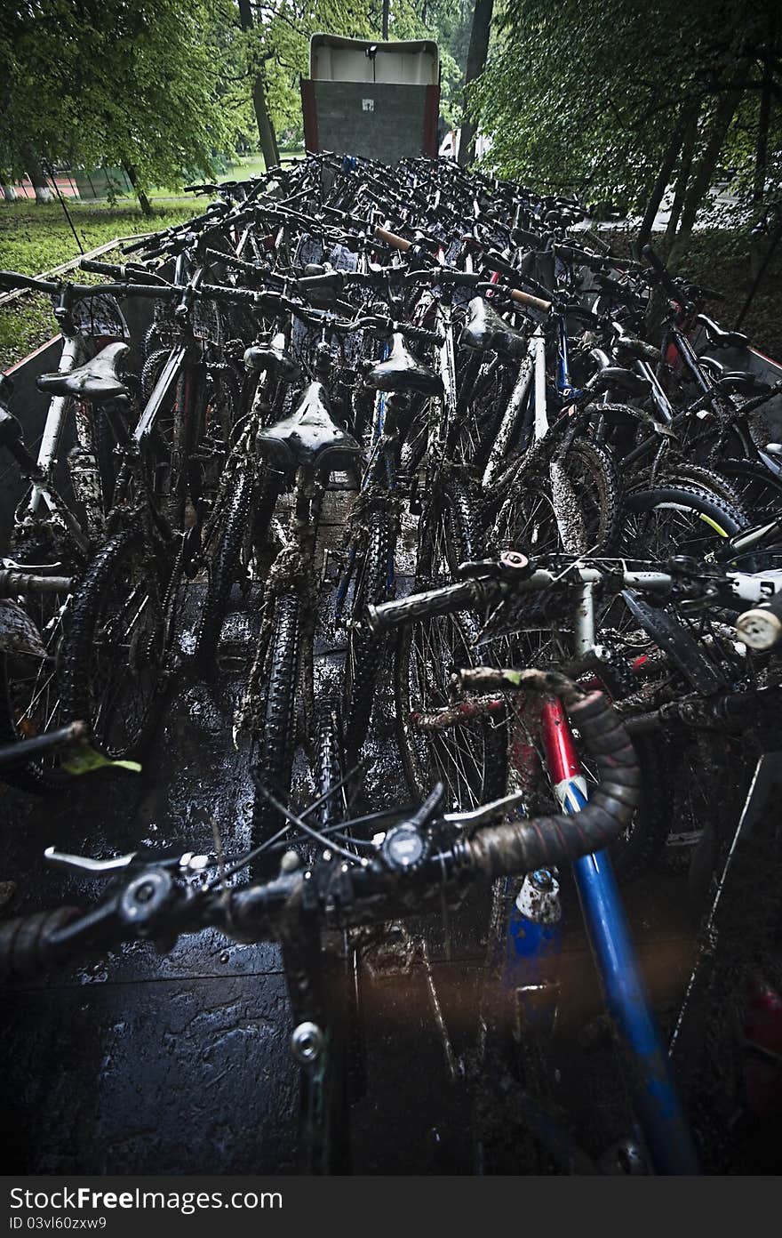 A group of bicycles before contest