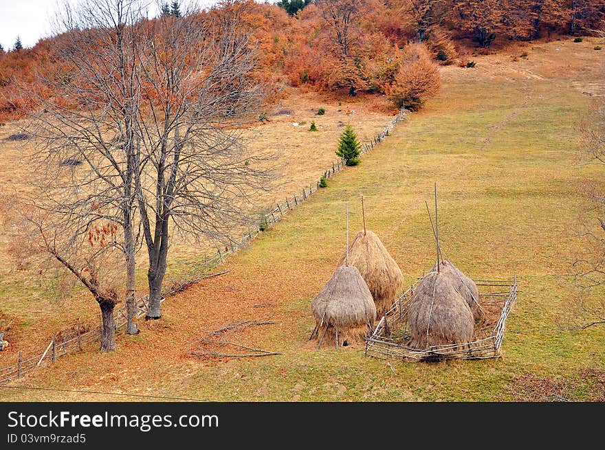 Hay cock and wooden fence on autumn hill