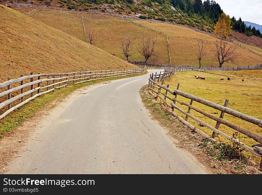 Autumnal curved road traffic in the forest bounded by ancient wooden fence