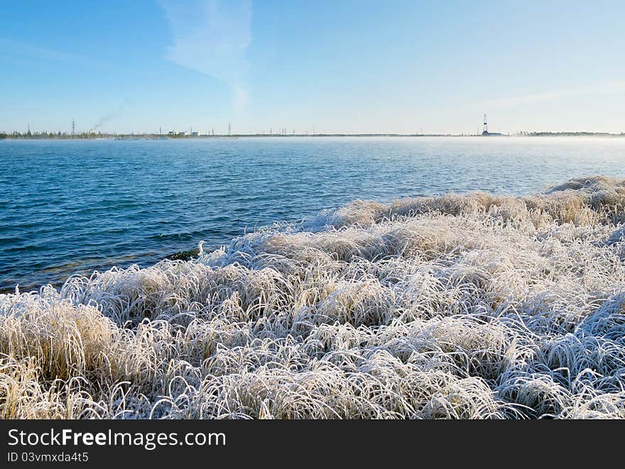 The grass in the frost on the background of the industrial landscape. The grass in the frost on the background of the industrial landscape