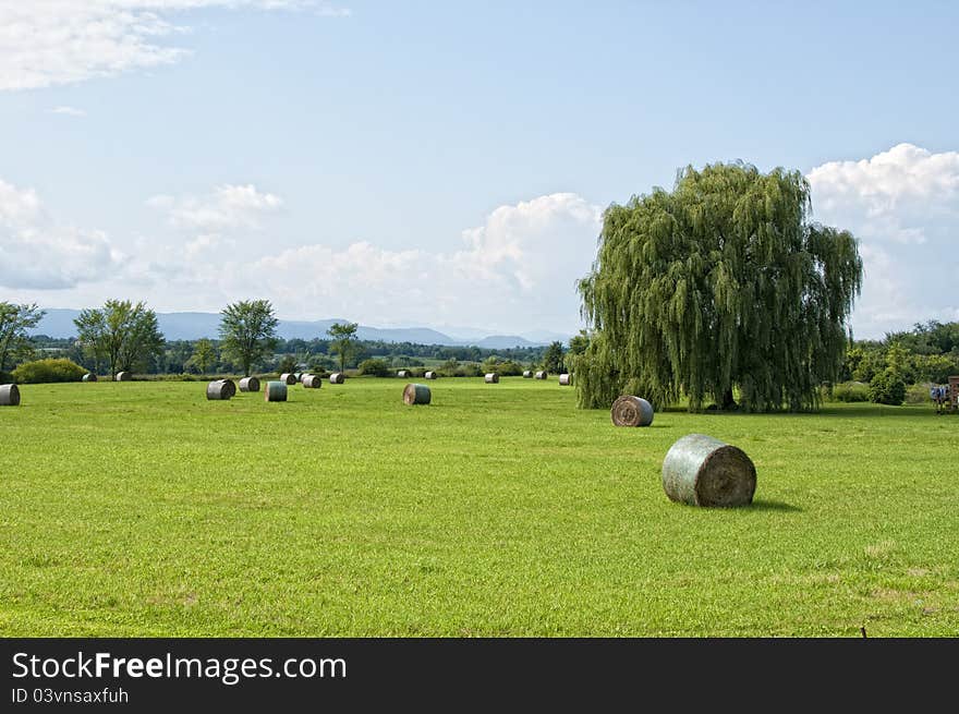 Vermont hay field