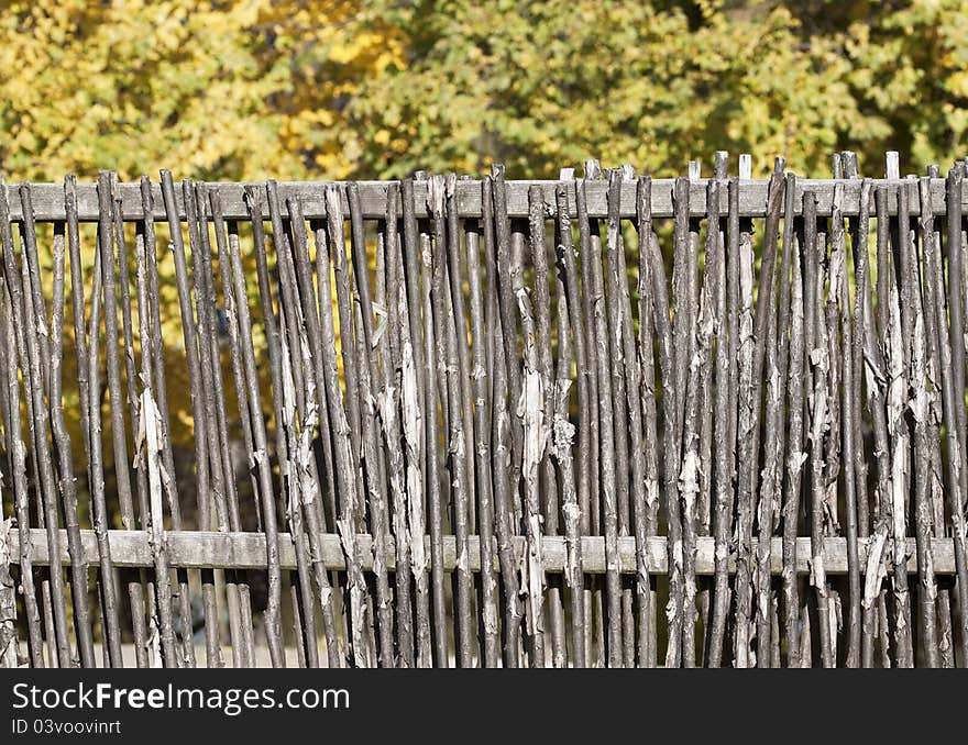 Rural fence made from dried rods. Rural fence made from dried rods