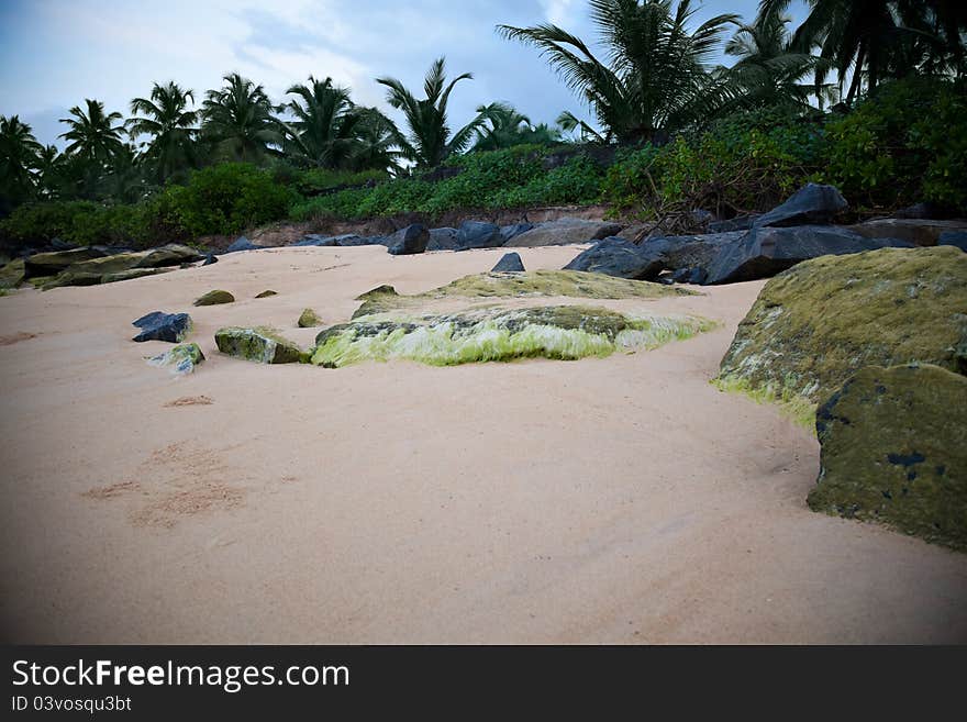 Rocks by beach