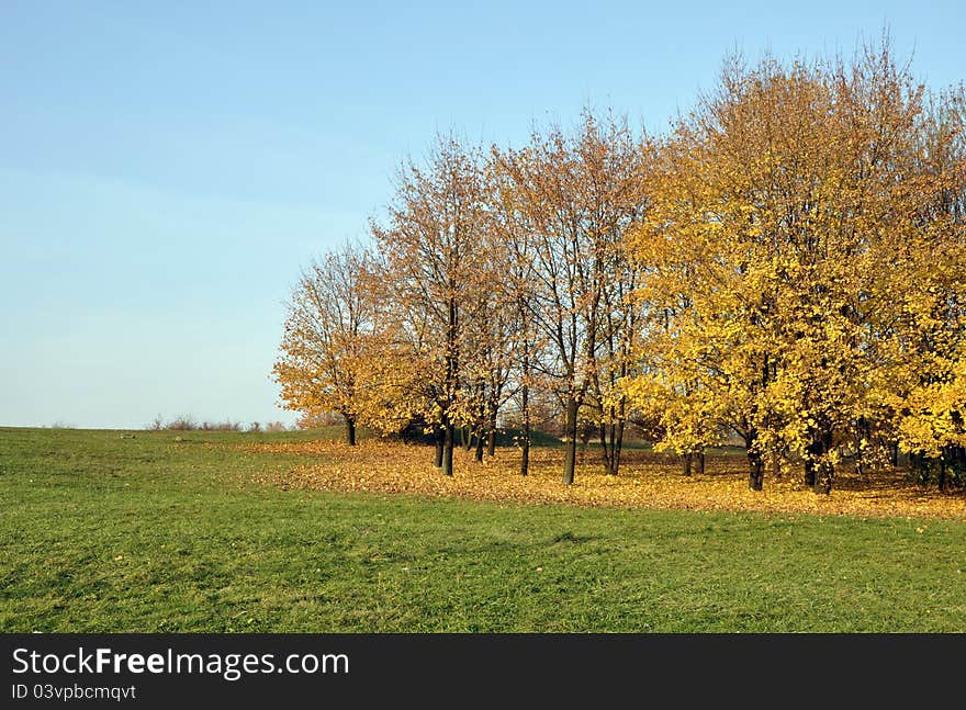 Autumn Idyll