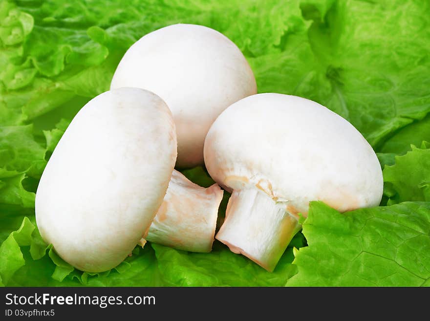 Champignons on salad leaves