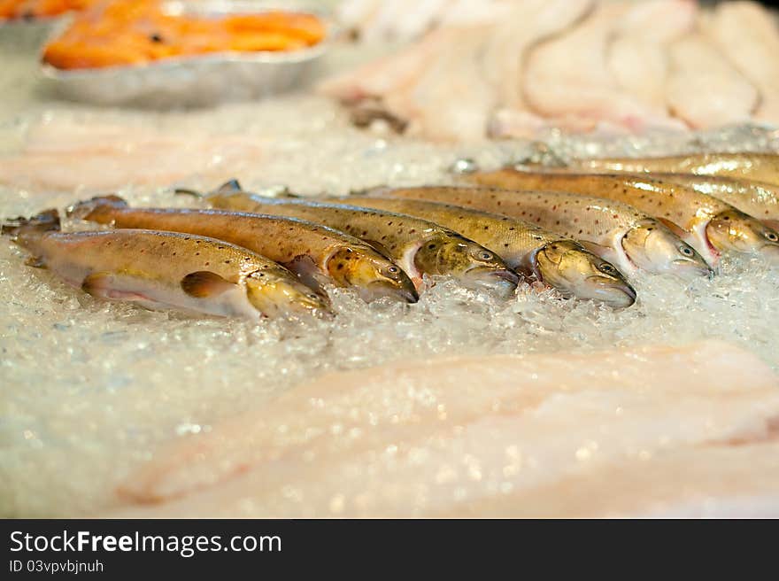 Frozen fish row in a fish market