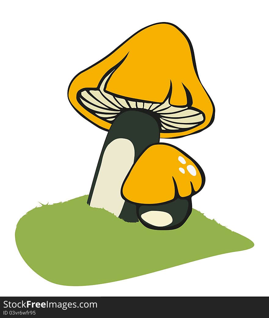 Mushrooms