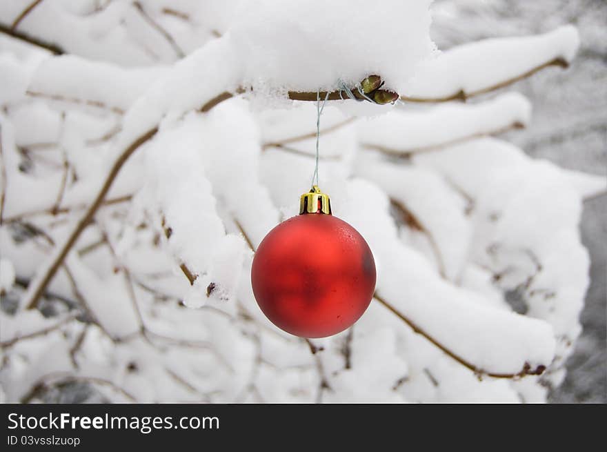 Christmas ball on the snow