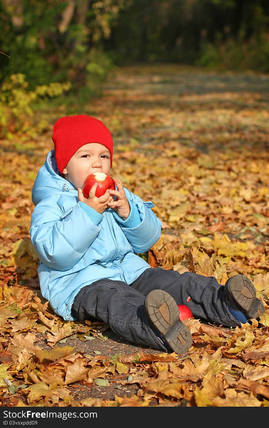 Little boy with big red apple sitting on the autumn leaves. Little boy with big red apple sitting on the autumn leaves