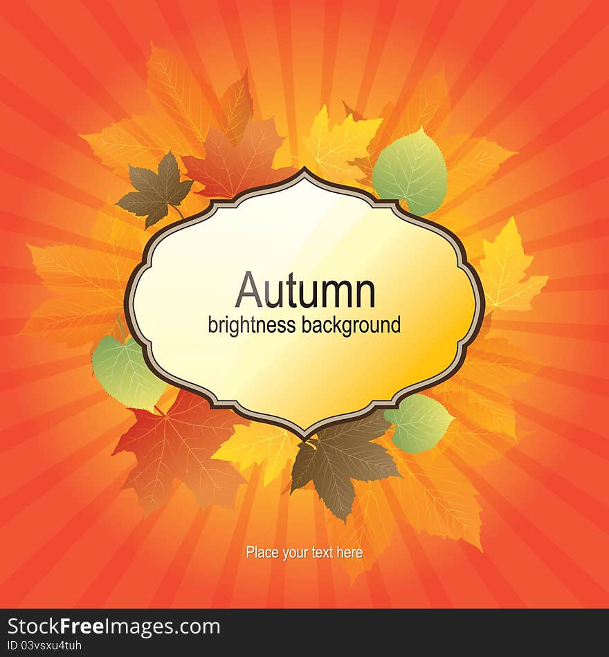 Autumn Background With Bright Leaves