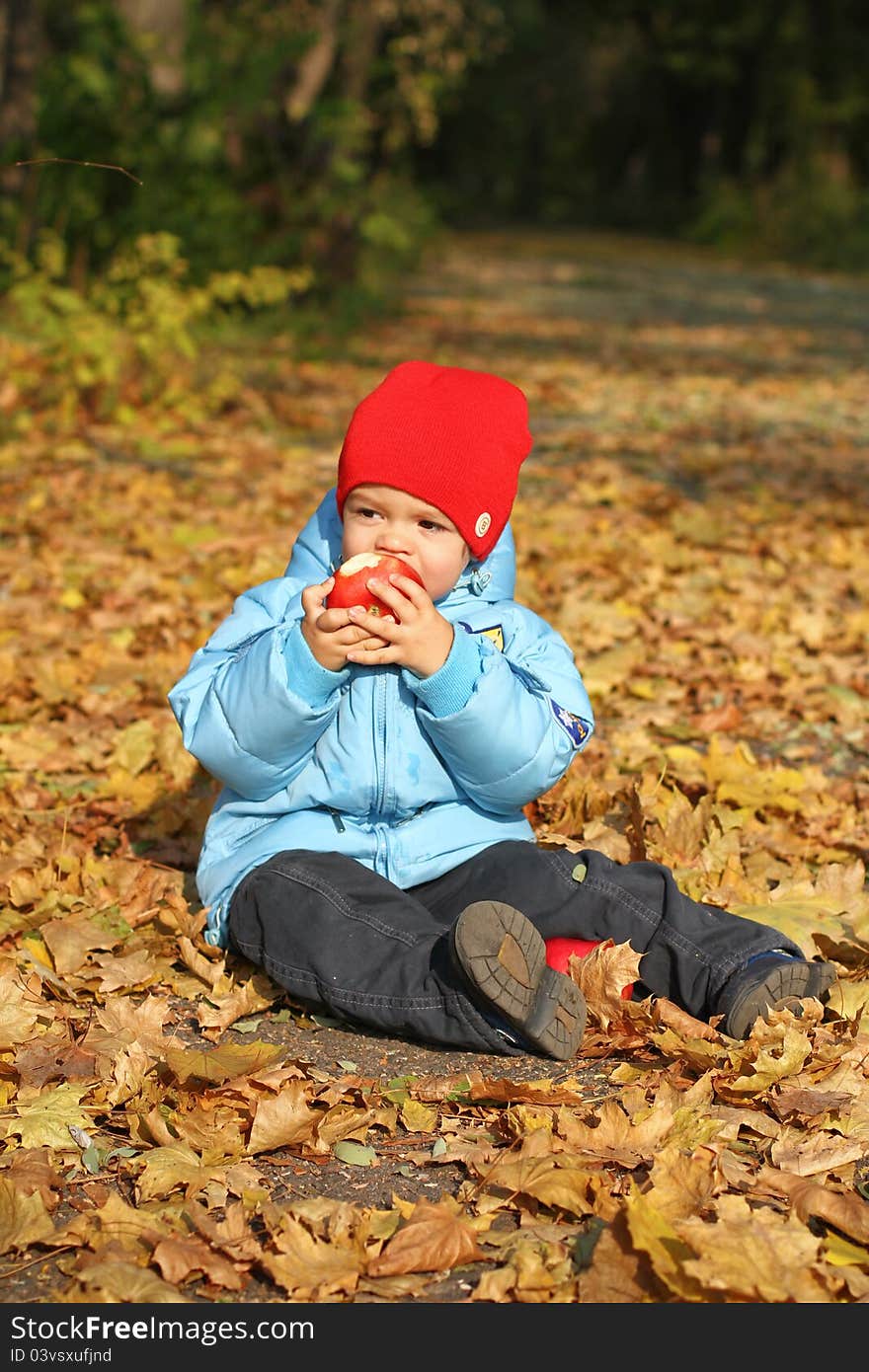 Little boy sitting on the autumn leaves