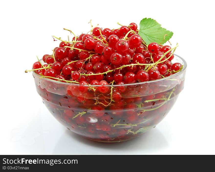 Isolated red currant