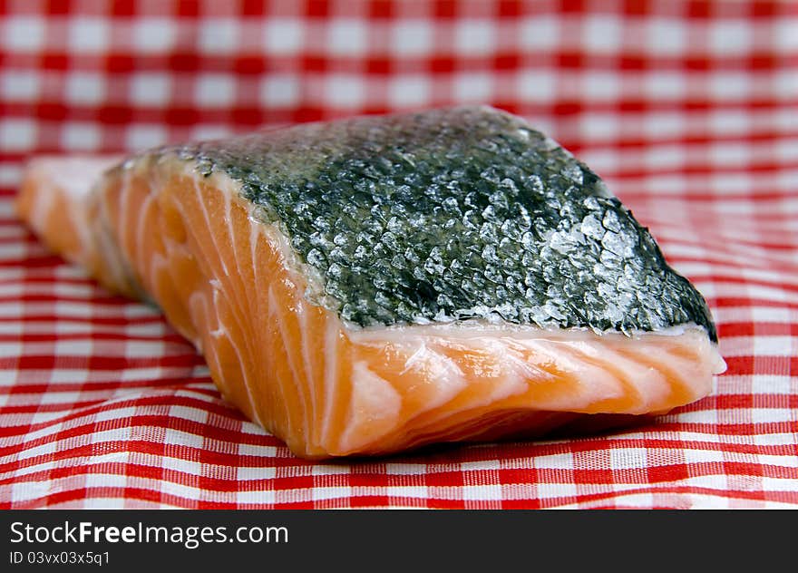 Salmon