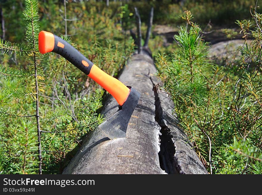 Single axe with orange handle in old tree trunk against the forest. Single axe with orange handle in old tree trunk against the forest.