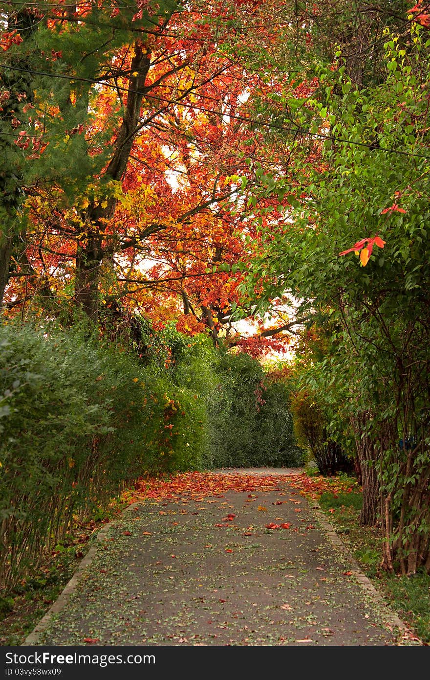 Colorful Alley