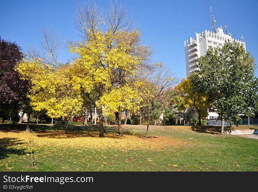 Autumn park scene in afternoon light. Autumn park scene in afternoon light.