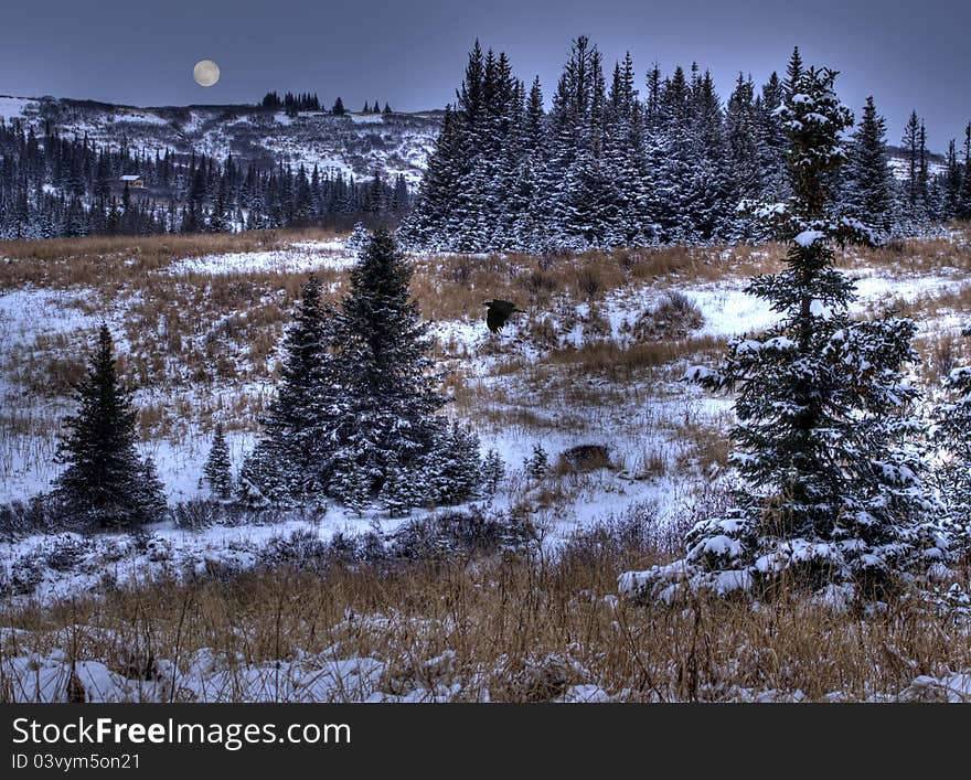 First snow with moon