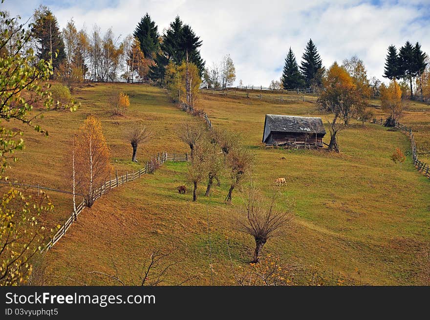 Wooden fence bounding land properties on sunny hill near alpine forest in autumn time. Wooden fence bounding land properties on sunny hill near alpine forest in autumn time