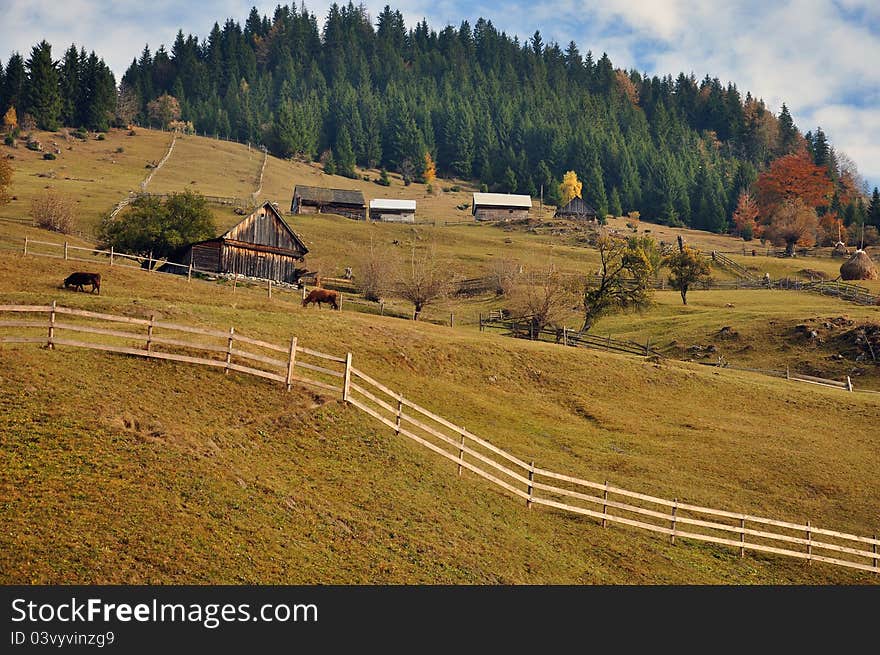 Rural accommodation in mountain cottage near cow farm. Rural accommodation in mountain cottage near cow farm