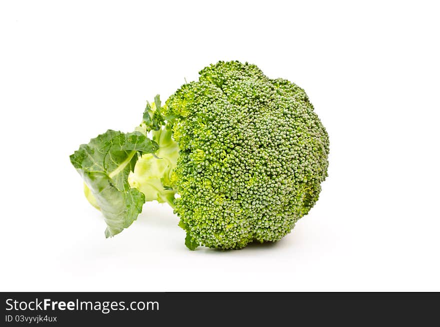 Fresh broccoli on white background